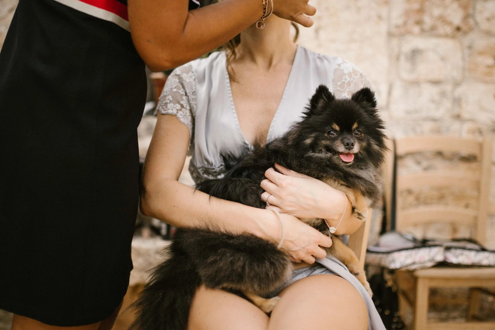 cani al matrimonio